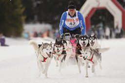 Lenzerheide 2013